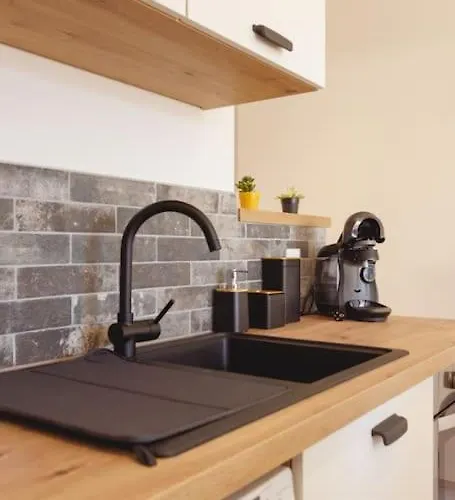 Appartement L'aindus De Brou- Parking Prive- Rdc Bourg-en-Bresse